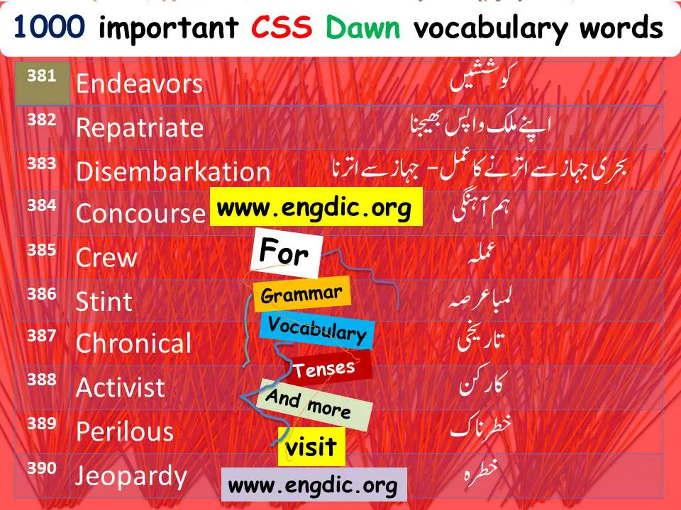 Important vocabulary