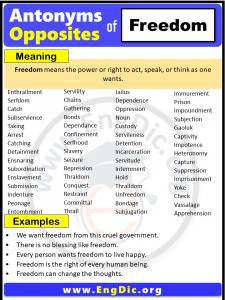 Opposite Of Freedom Antonyms Of Freedom Example Sentences Engdic