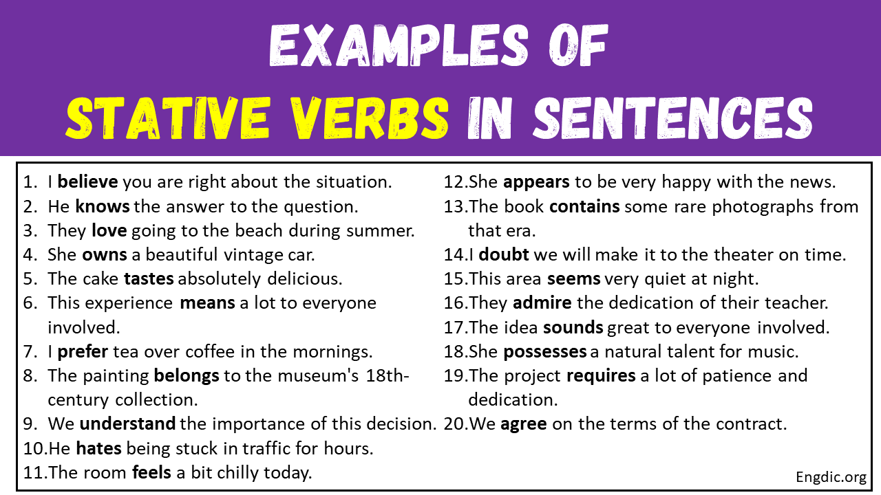 100 Examples Of Stative Verbs In Sentences EngDic