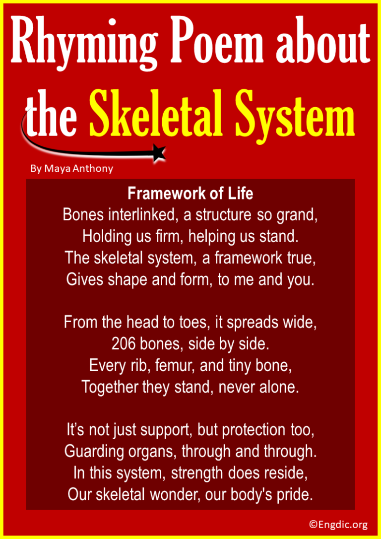 10 Short Rhyming Poems About The Skeletal System EngDic