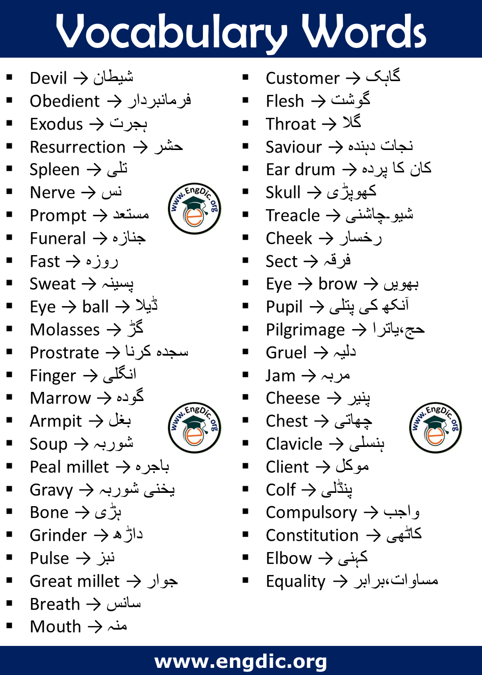 Vocabulary Words with meaning in Urdu