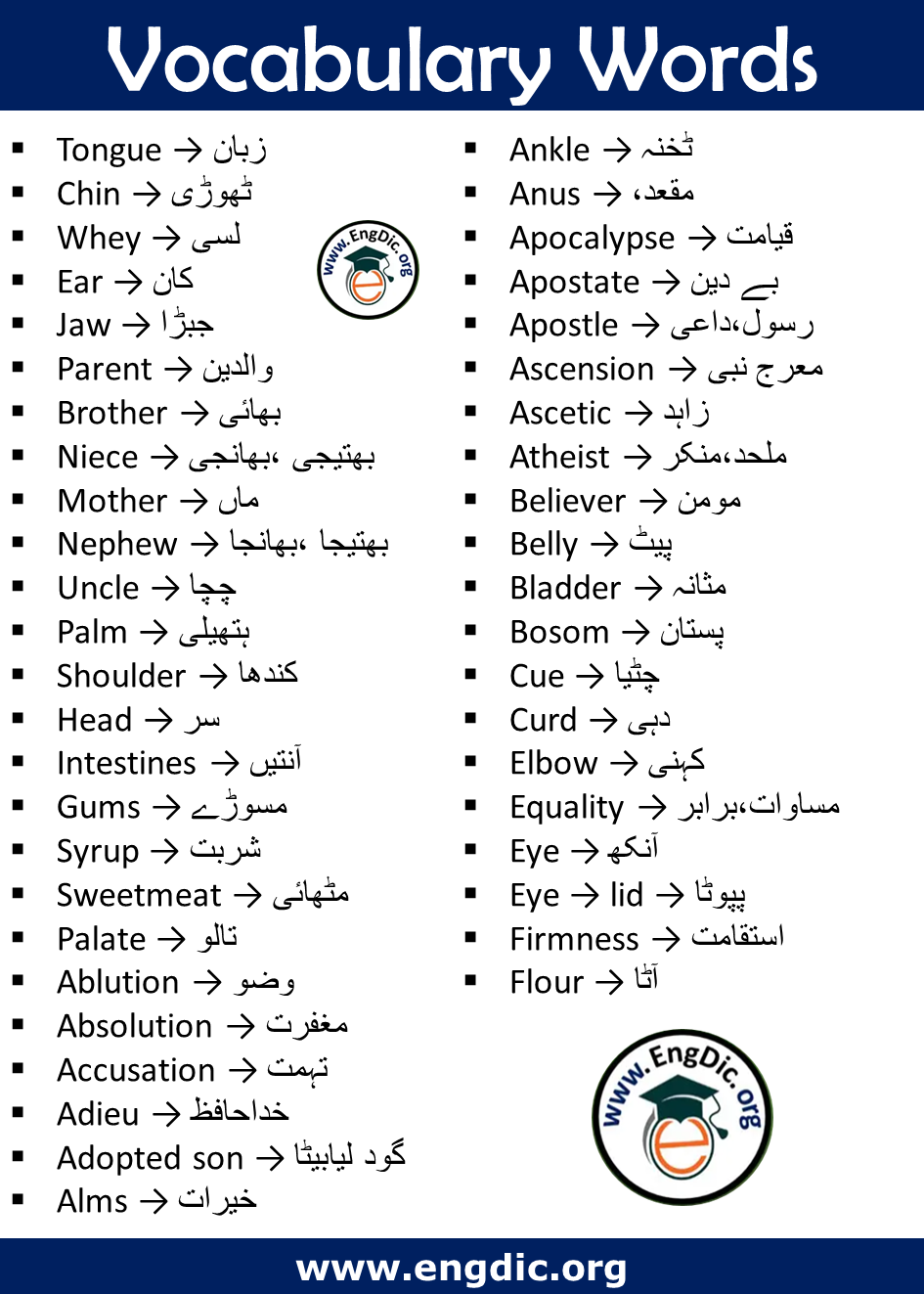 Vocabulary Words with meaning in Urdu