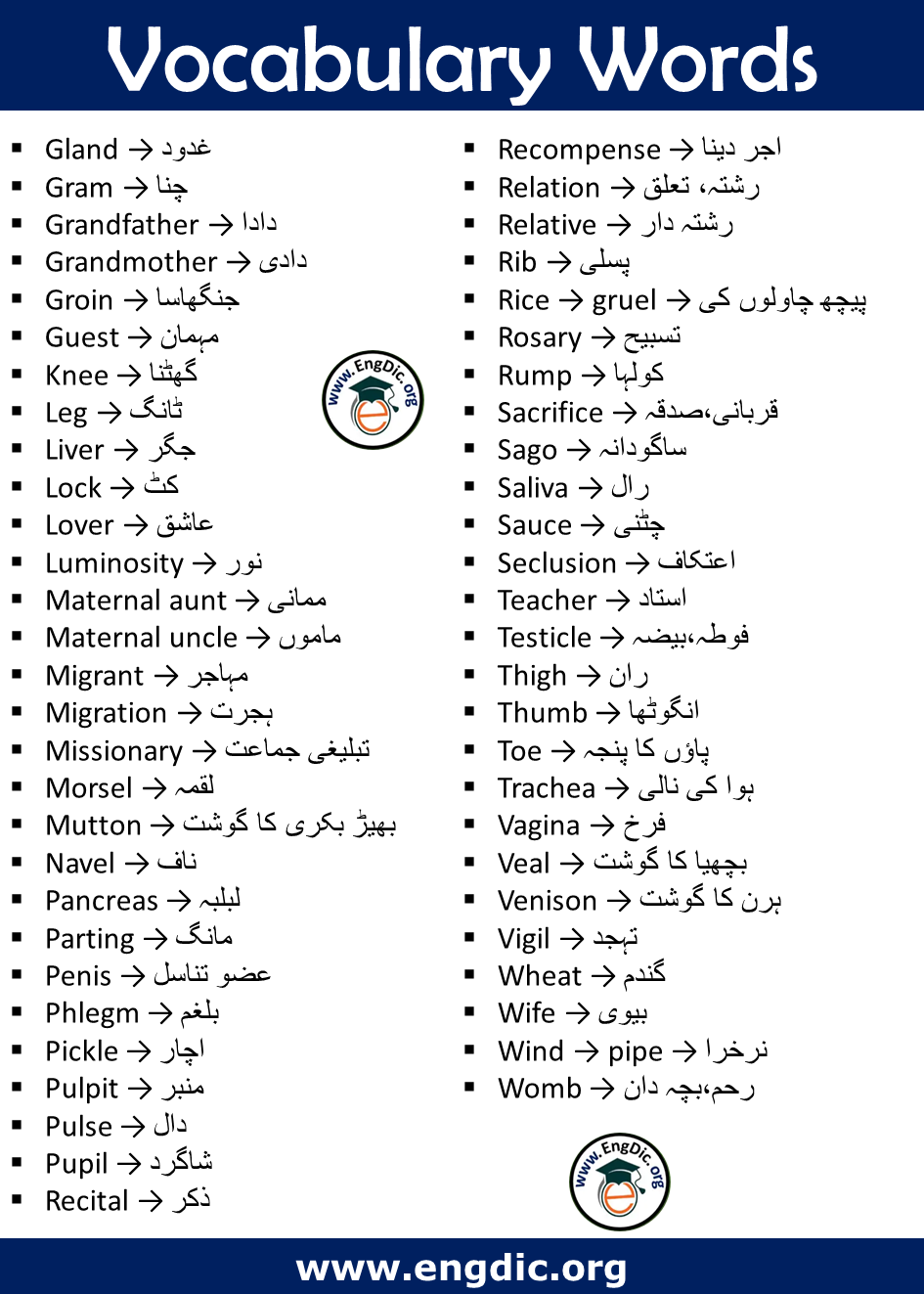 Training Meaning In Urdu Words