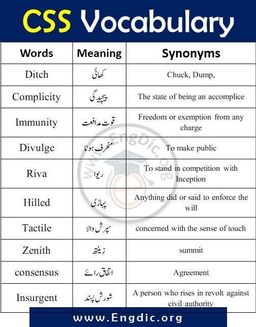 css vocabulary pdf