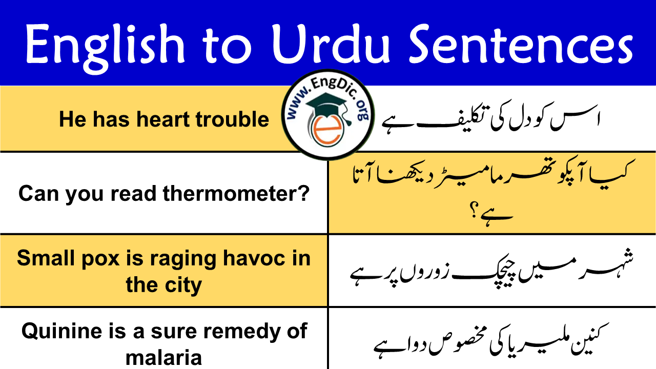 English to Urdu/Hindi Sentences | Download a PDF