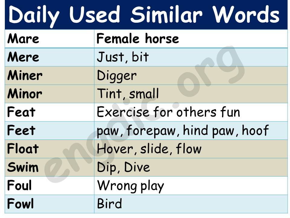 Important daily used Similar words | Download Pdf - ð°ððð¯ðð