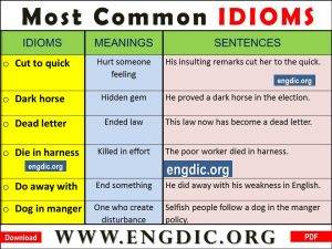 60+ Most Common Idioms and Phrases PDF - EngDic