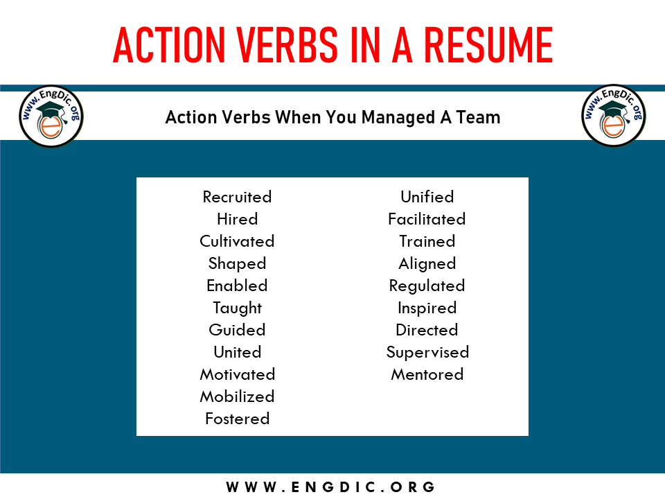 action verb when you manage a team