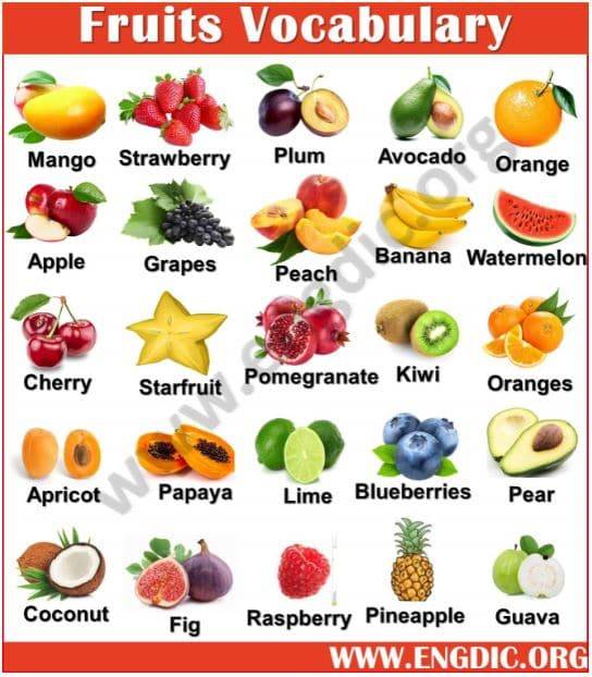 fruits vocabulary