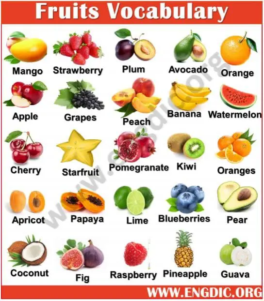 fruits vocabulary