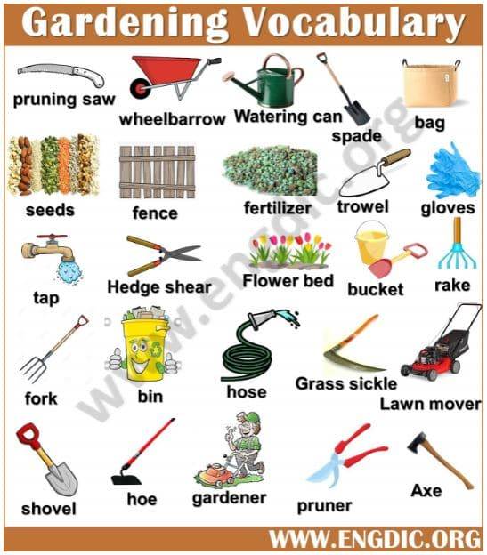 gardening vocabulary