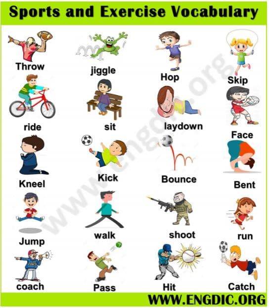sports and exercise vocabulary