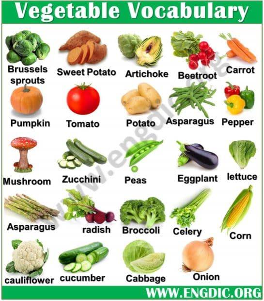 vegetable vocabulary
