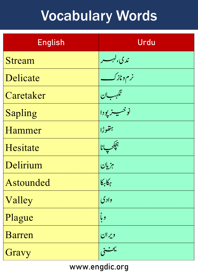 Vocabulary Words with Urdu Meaning Picture10