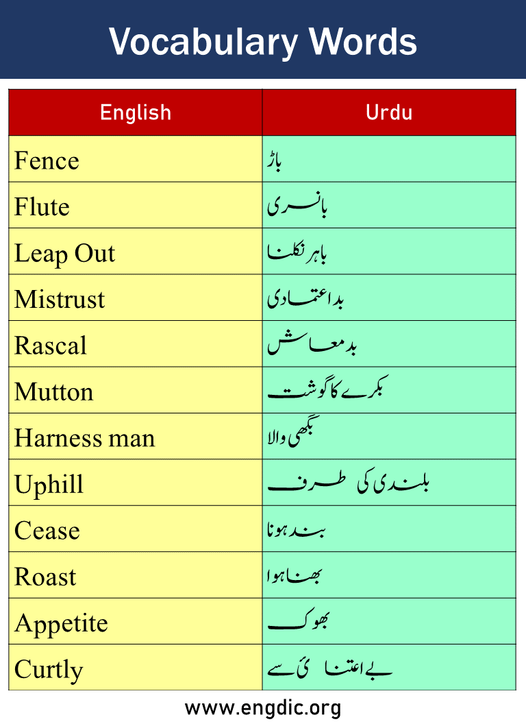 Vocabulary Words with Urdu Meaning Picture2