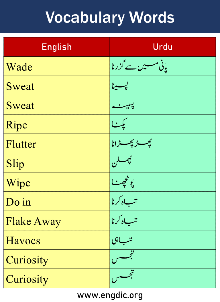 SOLUTION Vocabulary Words With Urdu Meaning Studypool 55 OFF