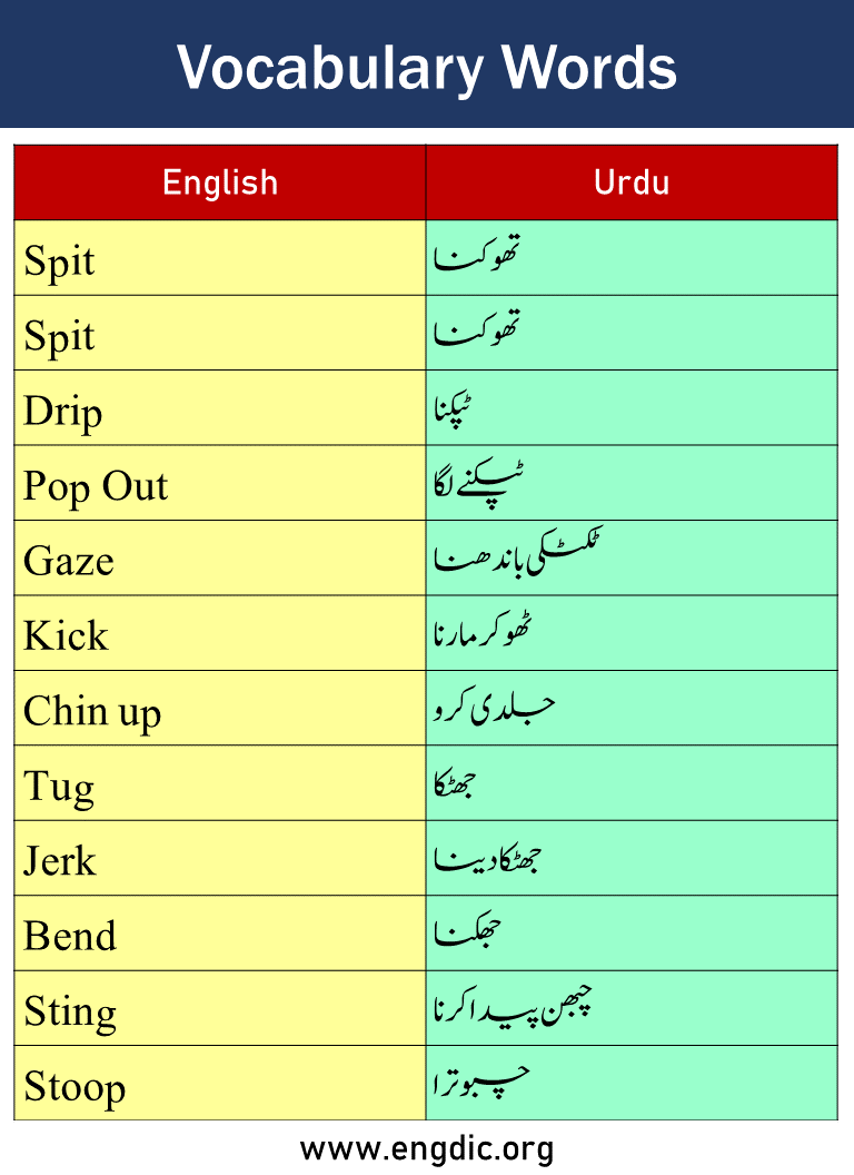 Vocabulary Words with Urdu Meaning Picture4