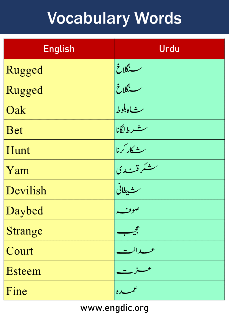 Vocabulary Words with Urdu Meaning Picture6