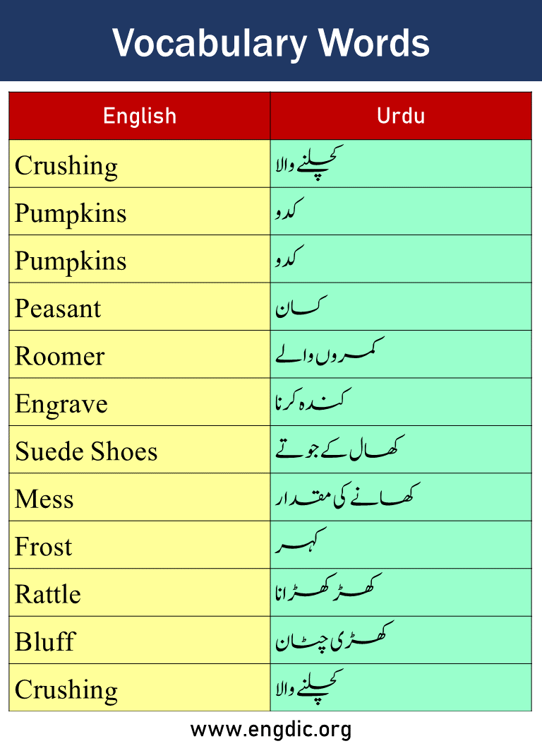 Vocabulary Words with Urdu Meaning Picture7
