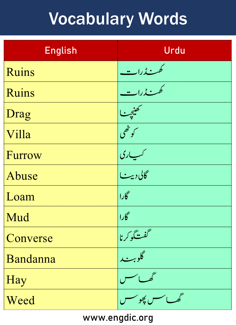 Vocabulary Words with Urdu Meaning Picture8