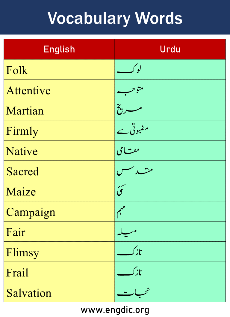 Vocabulary Words with Urdu Meaning Picture9