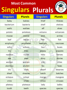 Singular and Plural Noun Rules in English - Grammar - Engdic