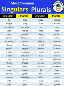 Singular and Plural Noun Rules in English - Grammar - Engdic