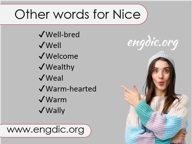 other words for nice