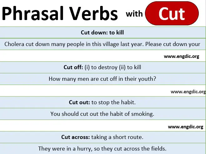 Phrasal verbs with cut