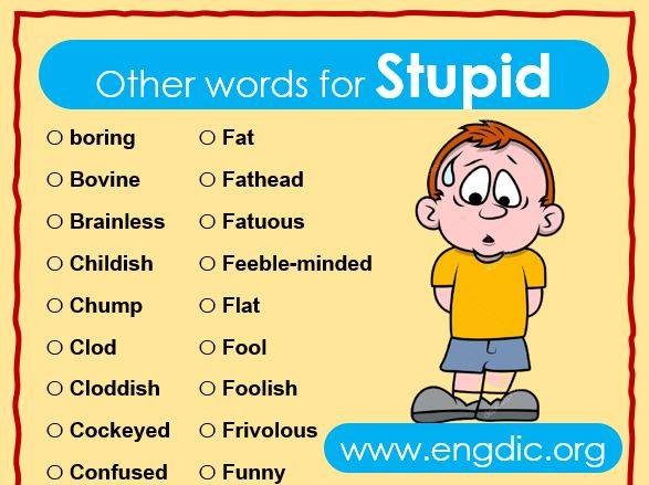 Other words for stupid in English - Stupid synonyms list