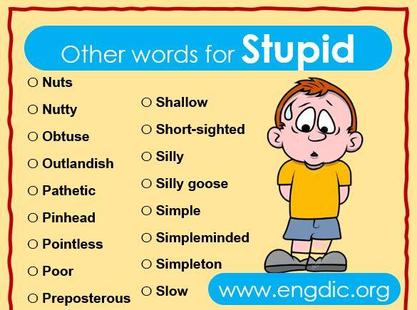 Stupid Synonyms List