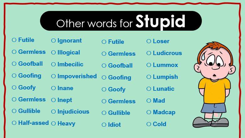 500+ Other Words for Stupid, Synonyms of Stupid