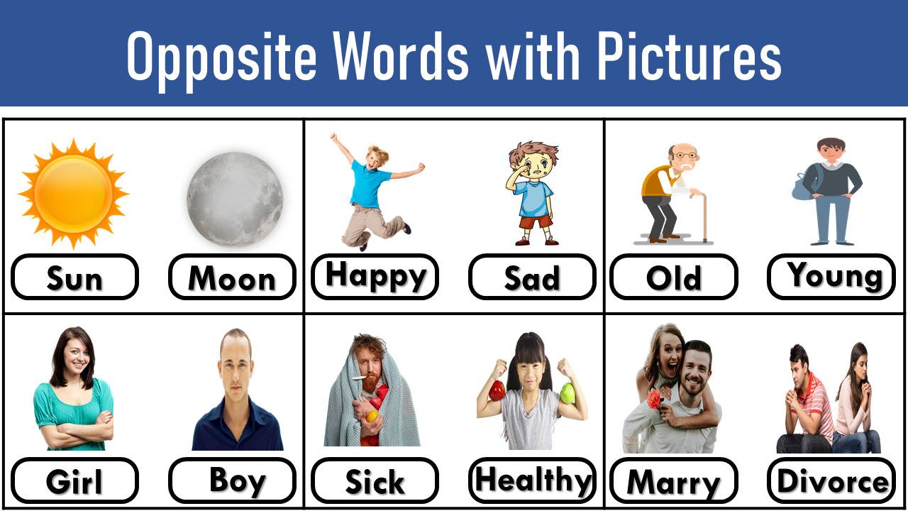 1000-opposite-words-in-english-antonyms-list-opposite-words