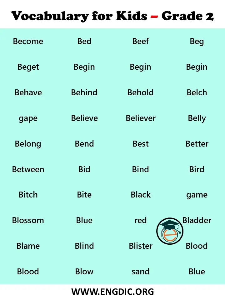 vocabulary words for 2nd grader