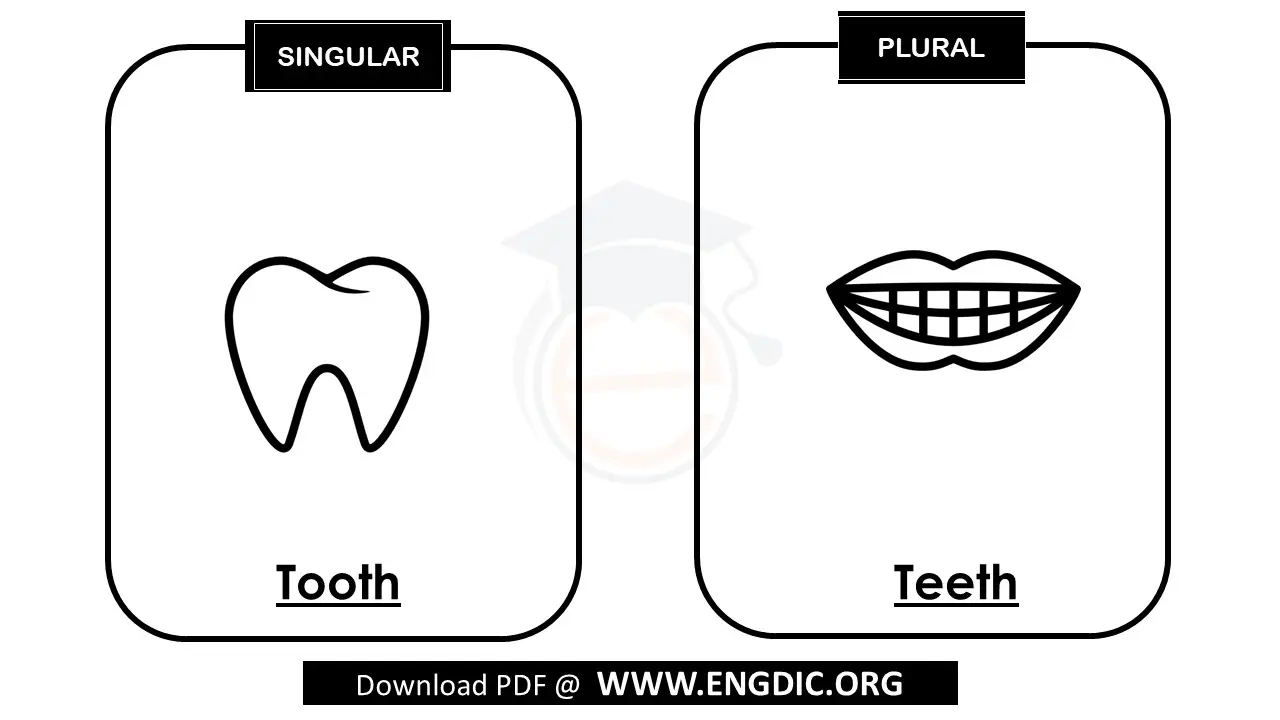 plural of tooth