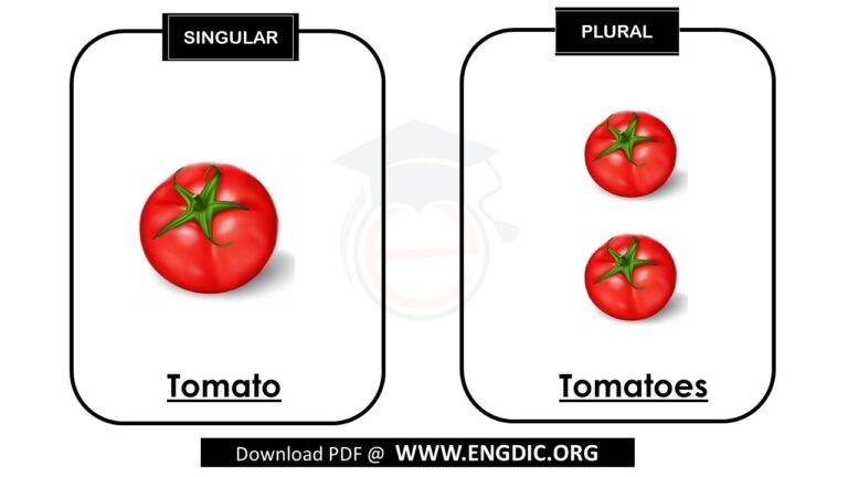 Singular And Plural Nouns List With Pictures And Pdf Engdic 