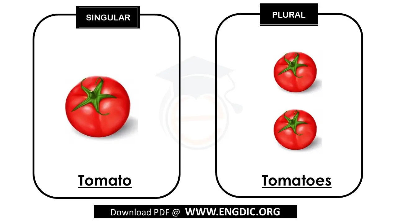 plural of tomato