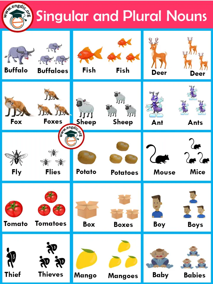 Plural Noun Clipart