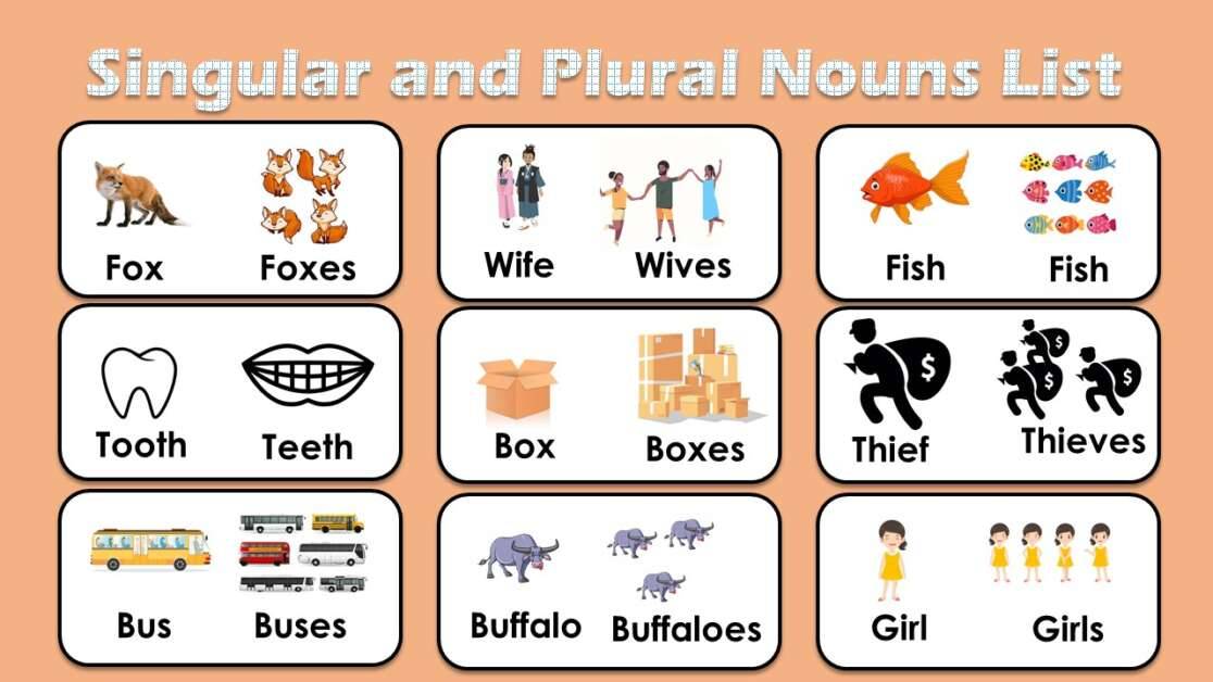 singular-and-plural-nouns-word-list