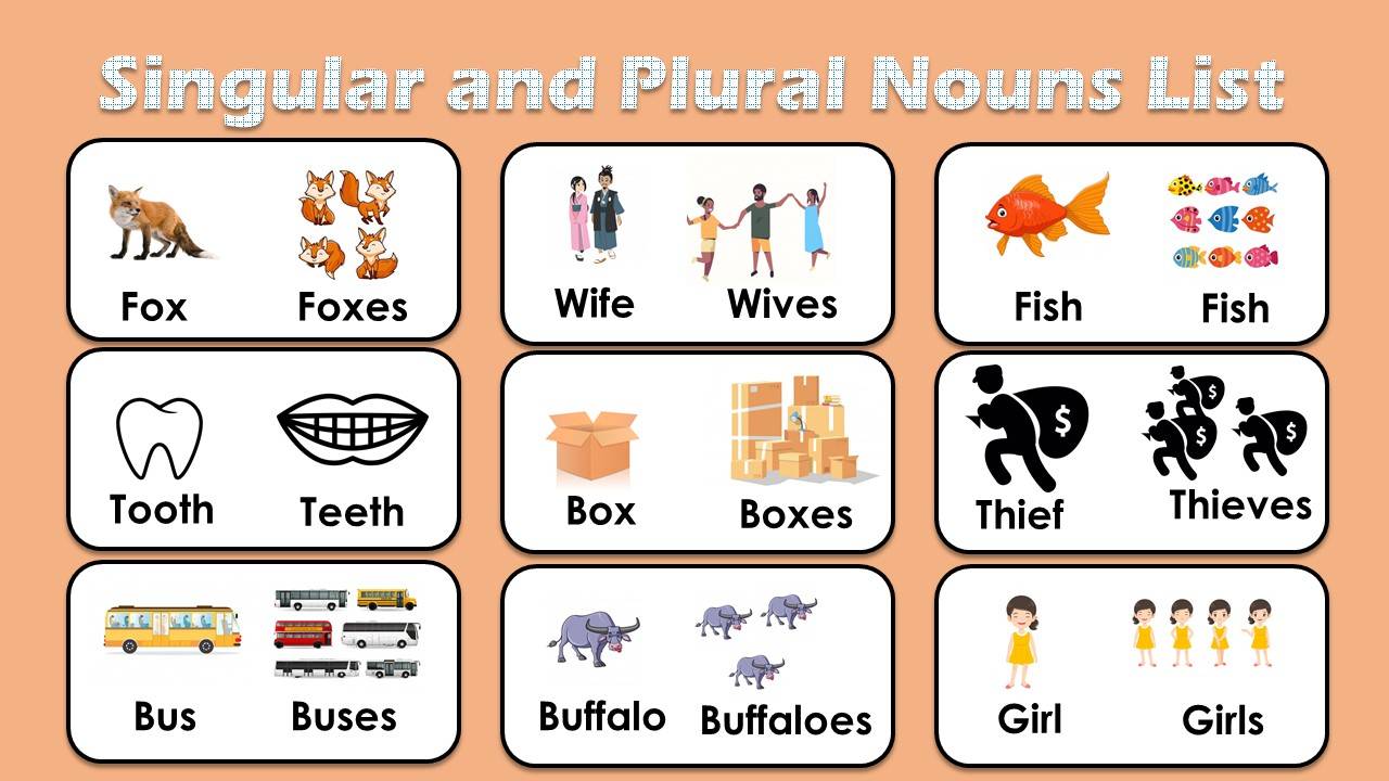 Singular and Plural nouns list with Pictures & PDF