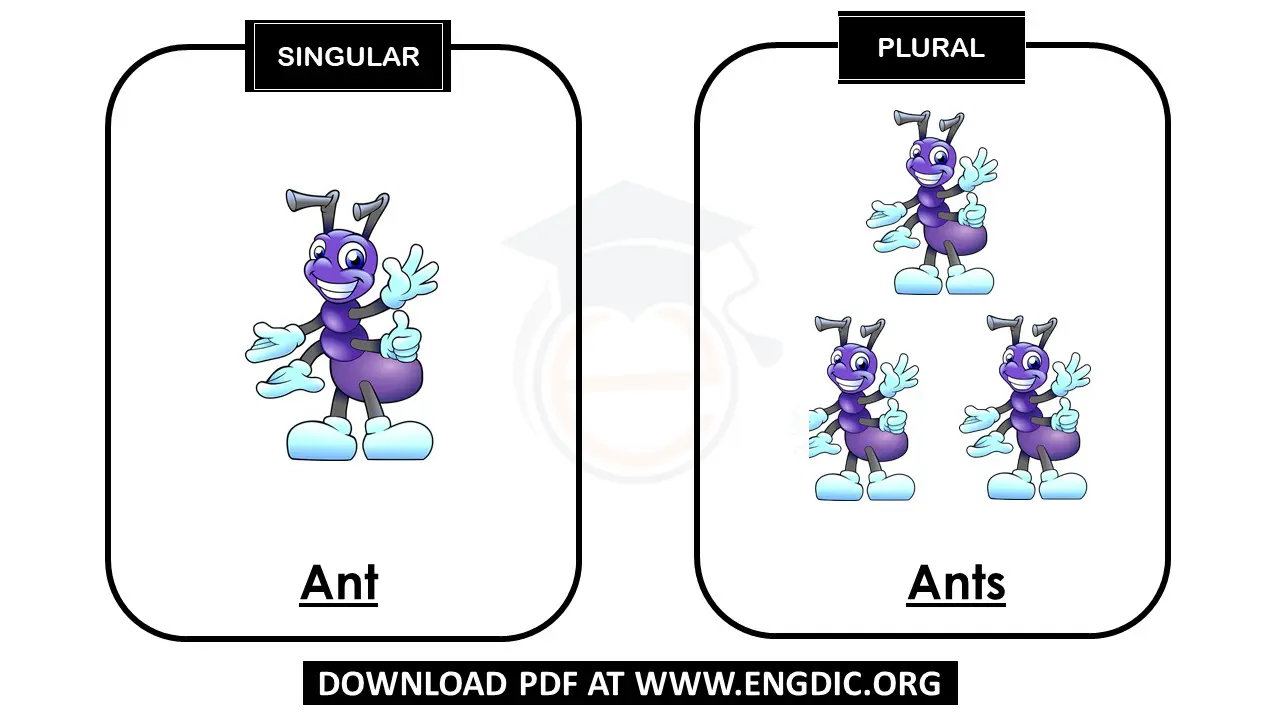 singular and plural nouns list