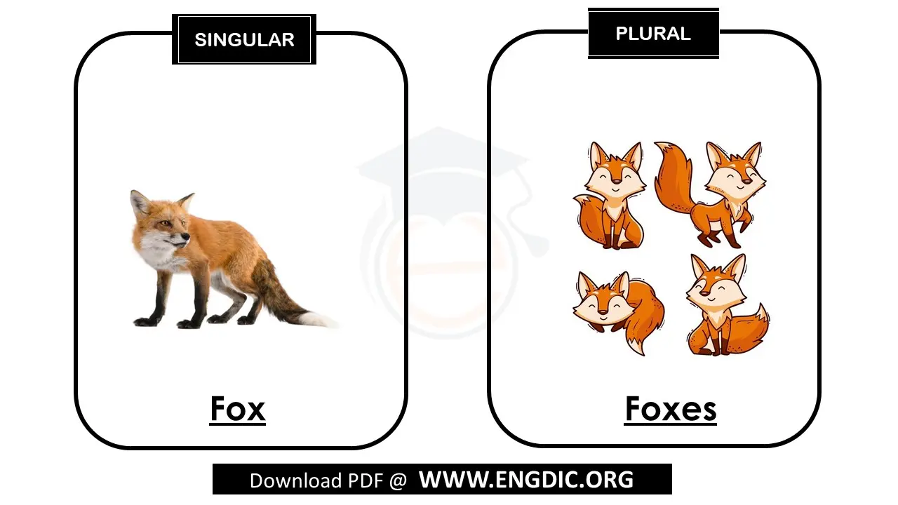 singulars plurals