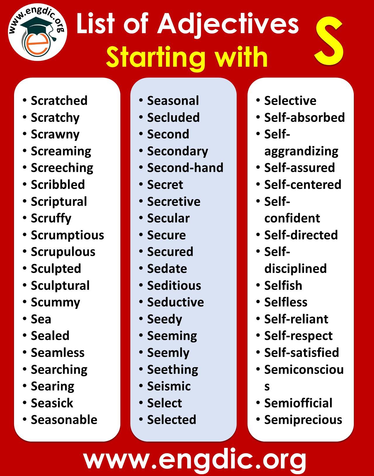 adjectives starting with s to describe a person pdf