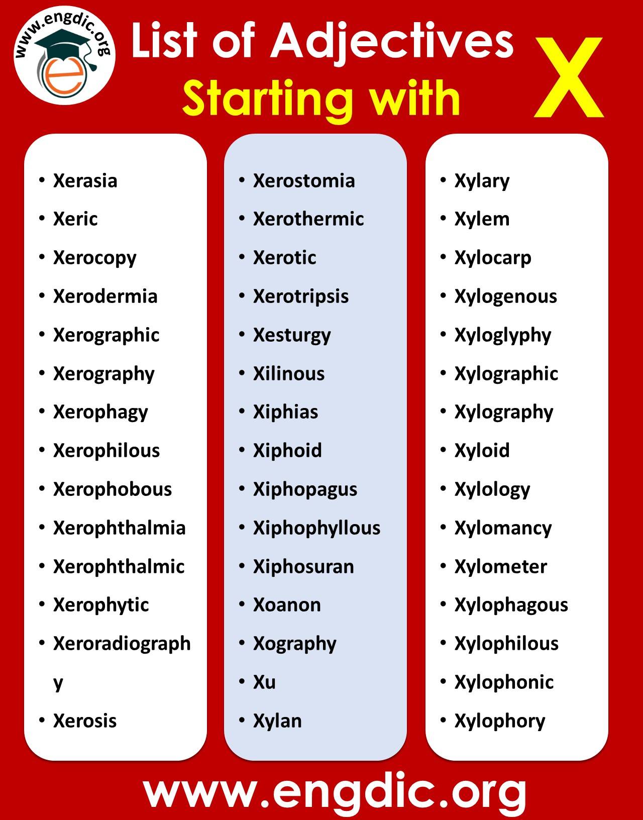 positive adjectives that start with x