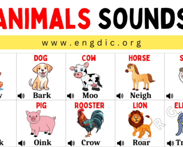 100 Animals And Their Sounds A to Z (+PDF)