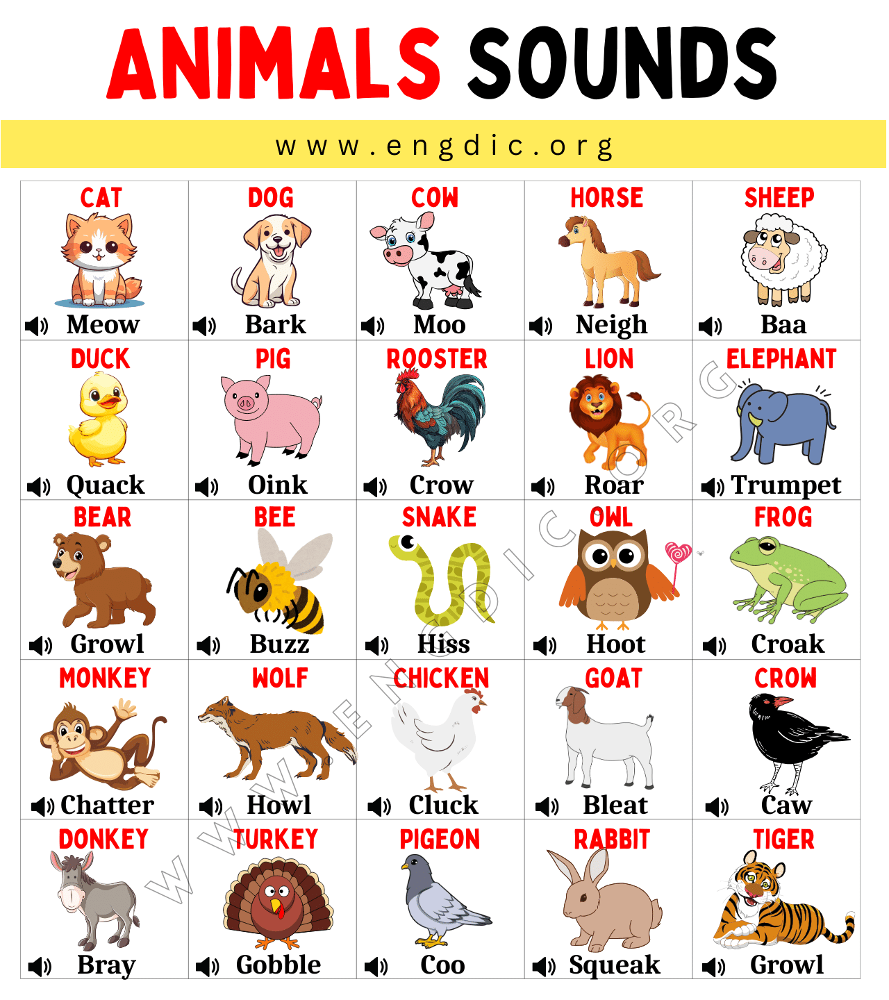 Animals Sounds