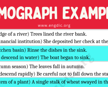 100 Homographs Examples with Sentences (With Meanings)