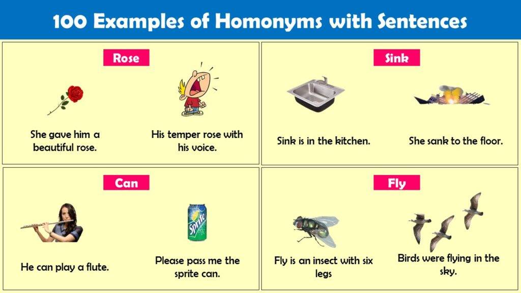 5 Examples Of Homonyms With Meaning