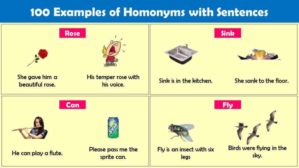 Give 50 Examples Of Homonyms With Sentences Archives EngDic
