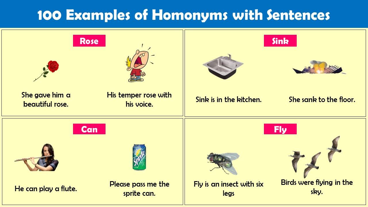 100 Homonyms Examples with Sentences – Infographic and PDF